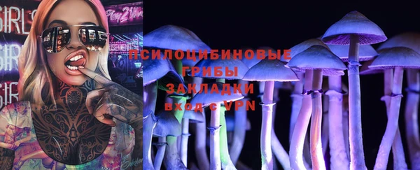 метадон Каменногорск